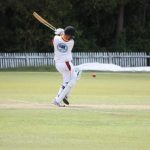 cricket_317515_02.JPG