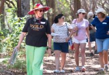 Wildflower walk in the park