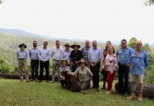 Sunny boost for Sunshine Coast koalas