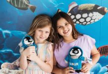 Family fun day at The Wharf