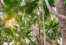 Popular hinterland camping area set for multi-million upgrade