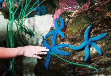 Guests get their hands wet exploring marine life
