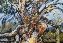 Noosa Regional Gallery kicks off two new exhibitions