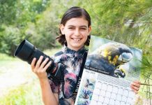 Spencer’s ongoing battle for the wallum