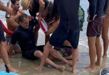 The elephant in the lineup