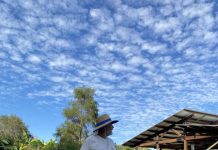 Learn how to build with cob