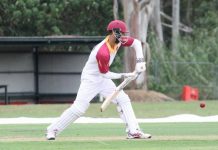 Wins and centuries for Thunder