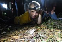 Environment grants up for grabs