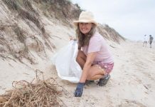 Plastic pick up clears path for hatchlings