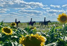Riders in the pink for fight against breast cancer