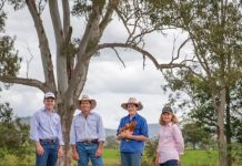 Slow Food gathers pace