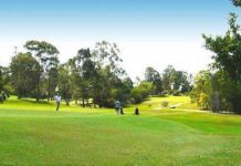 Cooroy golfers vote crucial to Gemlife development
