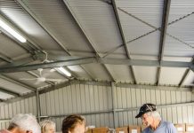 Bookfest Noosa is back in April