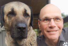 Find comfort in Mary Valley Pet Cremation