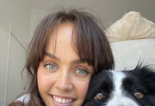 Doggy day out in Noosa Junction