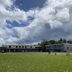 cricket_321416_02.jpg