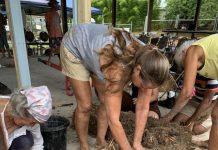Cooroy Pavilion almost there