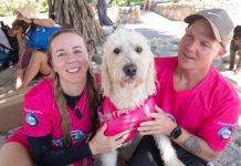 Surf comp sets tails wagging