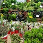 0704GARDEN_326689_03.jpg