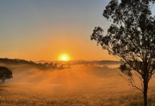 Piecing the jigsaw together