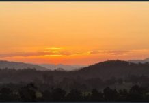 Superb equine property in heart of the hinterland