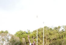 Dolphins kick off with wins