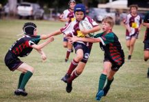 Dolphins kick off season