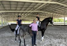 Horse sports lovers jumping for joy