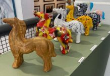 Auction to support Sunshine Coast mental health charity