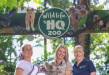 Holiday makers rejoice with direct flights to Port Macquarie