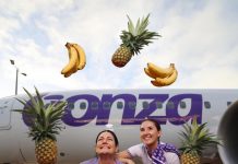 From the Big Pineapple to the Big Banana