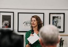 Sunshine Beach artist wins equine art prize