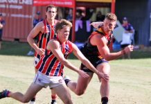 Tigers go down fighting