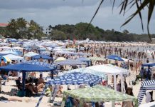 Tourism Noosa’s new dawn