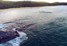 Crack down on nudists