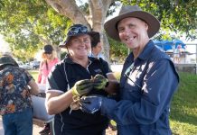 Oyster gardens blooming