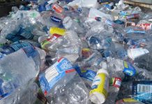 Noosa leads plastic elimination