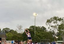 Draw for Dolphins and work to do