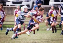 Home games wins and losses