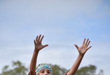 Dolphins excel in the wet