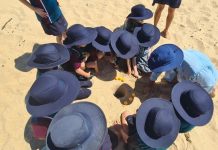 Top turtle queries from students on World Turtle Day