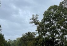 Ground-breaking investigation into ‘cascading’ climate impacts