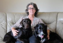 Rescuing dogs to rescue people