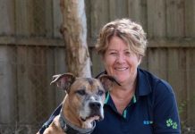 Million paws walk for animals