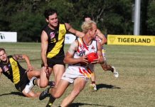 Noosa wins Tiger tussle
