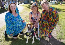 Great day out for dogs