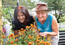 Garden blooming a year on