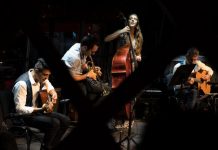 Gypsy Cats at the Majestic