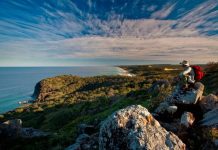 The Cooloola collaboration