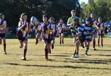 Dolphins put in the effort